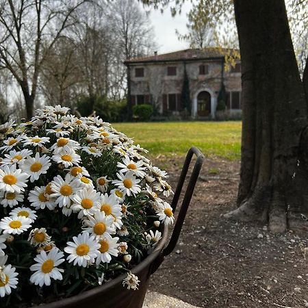 Agriturismo Corte San Girolamo Mantova Ngoại thất bức ảnh