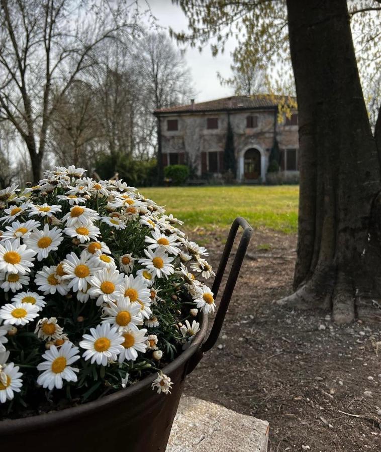 Agriturismo Corte San Girolamo Mantova Ngoại thất bức ảnh